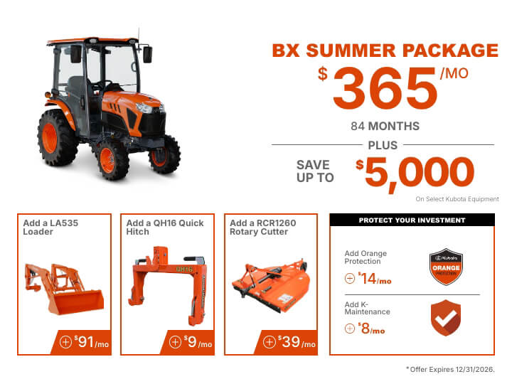 BX Summer Package Promo